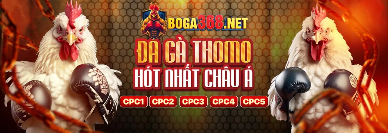 Đá gà trực tuyến vswin game - Sân đấu kịch tính